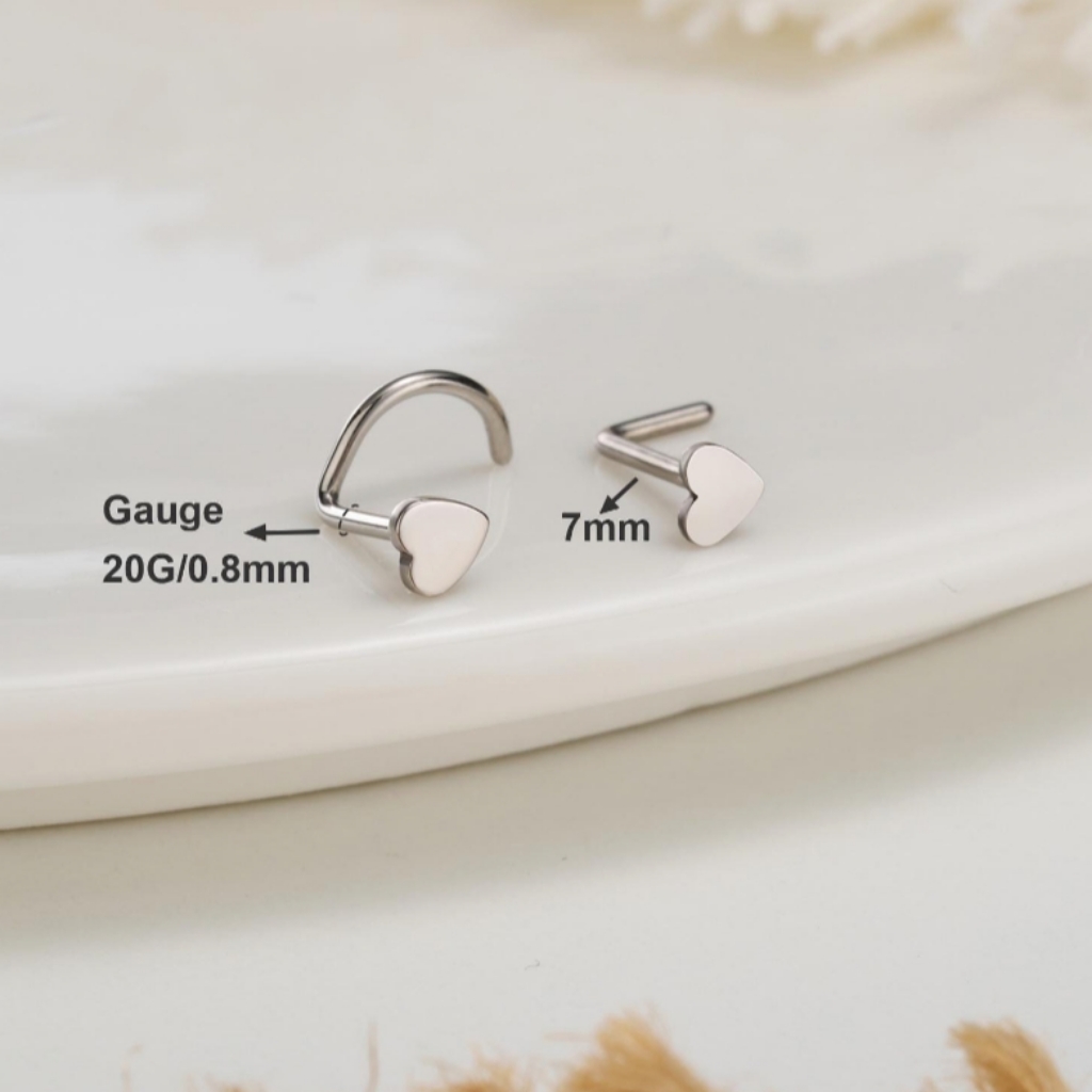 2 Nose Rings